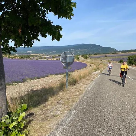 Apartment Chateau Tussen Mont Ventoux En Luberon *