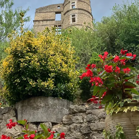 Chateau Tussen Mont Ventoux En Luberon Apartment