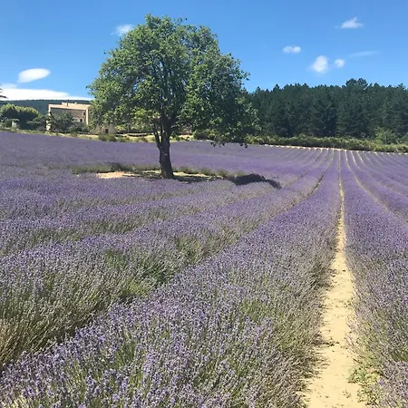 Chateau Tussen Mont Ventoux En Luberon Apartment *